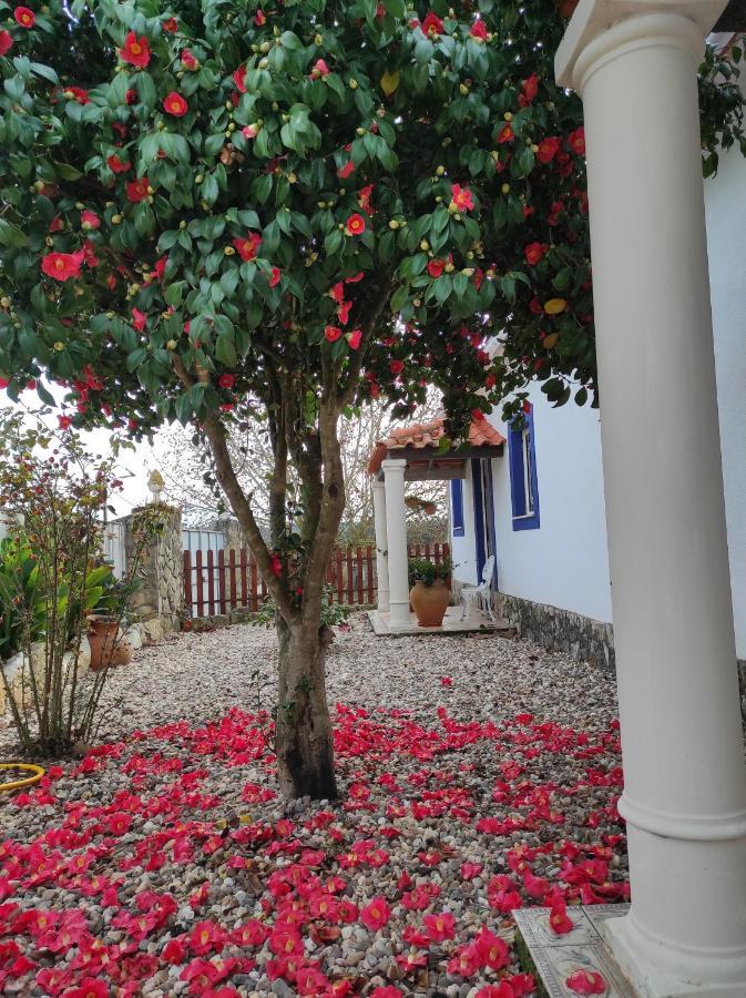토마르 Fazenda Do Marante 호스텔 외부 사진
