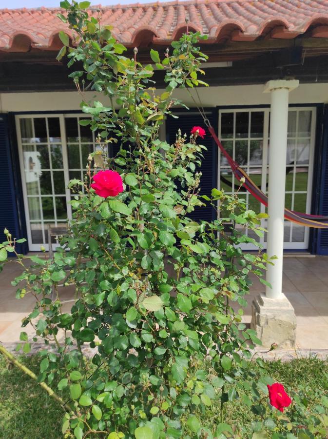 토마르 Fazenda Do Marante 호스텔 외부 사진